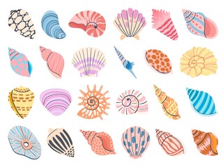 Wall Mural - Tropical seashell. Cartoon clam, oyster and scallop shells. Colorful underwater conches of mollusk and sea snail. Ocean shellfish vector set