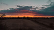 Sonnenuntergang über ein Feld in Schleswig Holstein mit starken orangenen Farben.