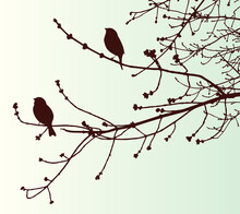 Vector Image Of Silhouettes Sparrows On Tree Branches In Springtime