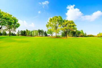 Green grass and trees in spring season.