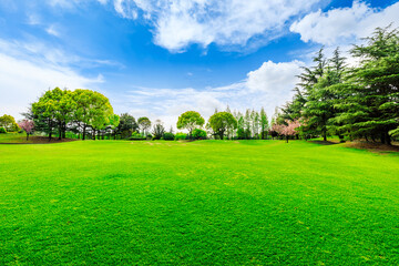 Green grass and trees in spring season.