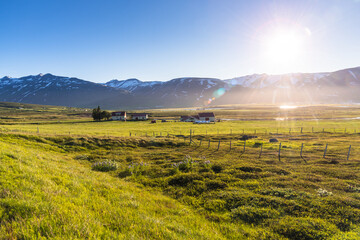 Wall Mural - Farm in a grassy field in a rural landscape with snow-capped mountains in background in Iceland on a sunny summer day