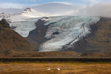 Wall Mural - Iceland