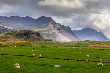 Wall Mural - Iceland