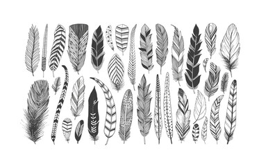 Rustic decorative feathers vector collection. Hand drawn black tribal bird feathers. Ink illustration isolated on white background. Ethnic boho style hand drawing. Outlined graphic ornament.