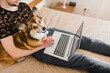 A young man working in a bedroom with a welsh corgi pembroke dog