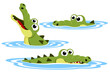 Set of crocodile in the water. The character