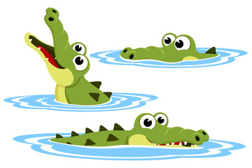 Set of crocodile in the water. The character