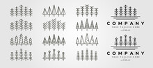 Set Of Vector Pines Thin Line Icon Logo Symbol Illustration Design, Collection Of Pine Tree Line Art Style