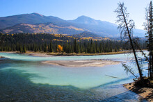 Bow River / Glacier Turquoise Blue River With Mountains And Colourful Autumn Trees On Sunny Day