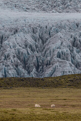 Wall Mural - Iceland