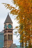 Fototapeta Big Ben - Toronto Old City Hall with autumn tree foliage