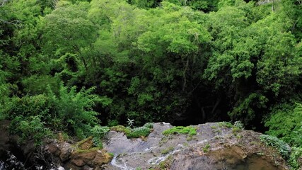 Wall Mural - DRONE NATURE IN THE WATERFALL WITH TWO WOMEN ON THE BACK IN THE WATERFALL IN THE MIDDLE OF THE BRAZILIAN PANTANAL FOREST