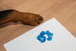 Close-up of dog's foreleg on the brown floor and blueprint on wh