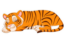Cartoon Funny Tiger Sleeping On White Background
