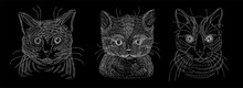 A Set Of Illustrations Of The Head Of A Cat Or Kitten. A Sketch Drawn In White Chalk On A Blackboard.