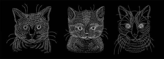 a set of illustrations of the head of a cat or kitten. a sketch drawn in white chalk on a blackboard