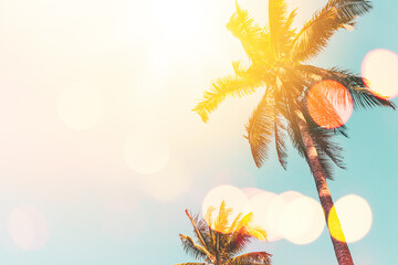 Wall Mural - tropical palm tree with sun light on sunset sky and cloud with colorful bokeh abstract background.