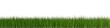 Green grass border or edge wide banner isolated on white, ecology, spring or gardening template element, 3D illustration