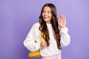 Canvas Print - Photo of brunette long hairdo pretty girl hold rucksack wave wear sweater isolated on violet color background