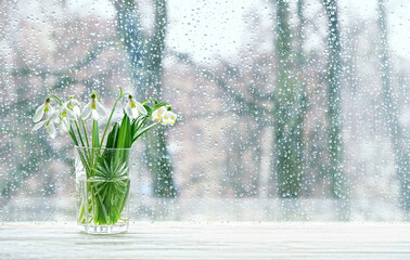 bouquet of snowdrops on windowsill, bokeh drops. Beautiful spring nature background. gentle white snowdrops and water drops on window. rainy weather