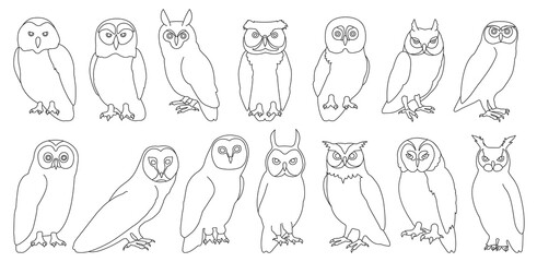 Owl bird outline vector set illustration of icon. .Vector set icon of animal owl. Isolated outline collection illustration of bird on white background.