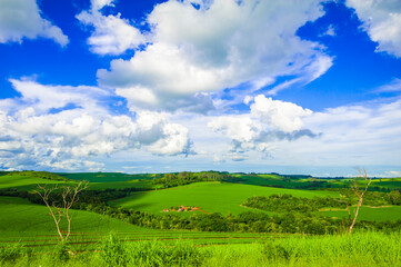 Rural landscape, nature and environment.

