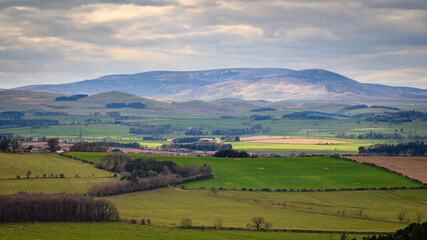 Canvas Print - The Cheviot and Hedgehope Hill, in the Cheviot Hills, a range of rolling hills straddling the Anglo-Scottish border viewed here from Corby's Crags in early springtime