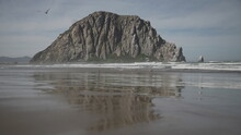 Morro Rock
Shot From Our Road Trip Along The Highway 1.