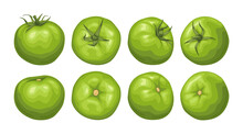Set Of Green Tomatoes. Fresh Tomatoes With A Green Sprig Top View, Side View.