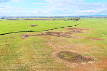 summer landscape field top view drone, abstract landscape view in flight