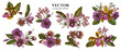 Flower bouquet of colored laelia, feijoa flowers, glory bush, papilio torquatus, cinchona, cattleya aclandiae