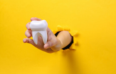 Poster - Female hand holds tooth model through torn hole yellow paper. Oral cavity care. Concept art. Minimalism