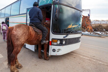 Horseback Riding, Collage With A Horse. Horse Enters The Bus, With A Long Neck Like A Giraffe.