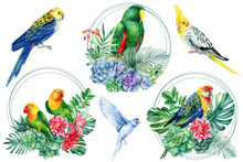 Tropical Summer Composition With Birds, Palm Leaves And Exotic Flowers. Watercolor Parrots On Isolated White Background