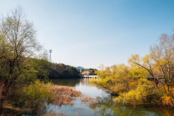 Canvas Print - Spring of Seoul grand park in Gwacheon, Korea