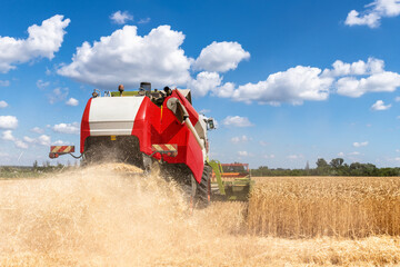 Scenic front view Big powerful industrial combine harvester machine reaping golden ripe wheat cereal field on bright summer or autumn day. Agricultural yellow field machinery landscape background