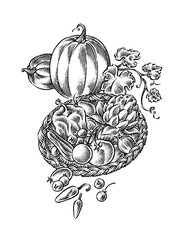 black and white vector illustration of autumn foods