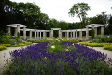 Rosengarten Im Tiergarten Berlin Mit Blick Aufs Atrium 