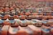© venerala - old roof tiles made of natural stone