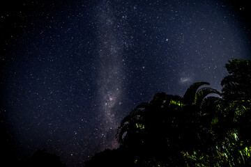 Wall Mural - Milky Way