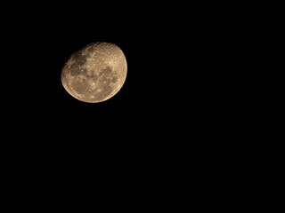 Wall Mural - Moon