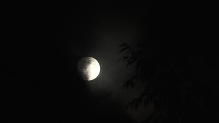 Wall Mural - pitch black clouds reveal full moon