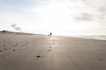 Beautiful shot of a sandy beach on background of the sea