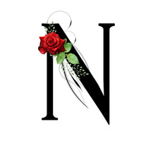Floral Monogram, Letter N - Decorated With Red Rose And Watercolor Leaves