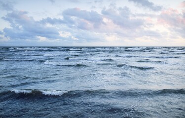 Wall Mural - Baltic sea shore under a blue sky with glowing sunset clouds after the storm. Water surface texture, crashing waves. Nature, environmental conservation, ecotourism. Picturesque panoramic scenery