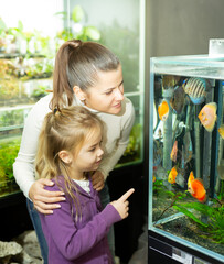 Wall Mural - Happy little girl with mother choosing new aquarium fish for home fish tank in pet store