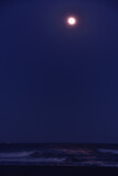 Fototapeta Morze - 月明りの湘南の海