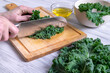 A female hand is cutting the leaves of kale with a large kitchen knife