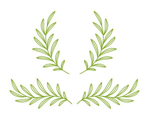 Wall Mural - green olive and laurel branches, wreath, divider